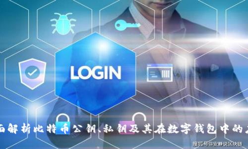全面解析比特币公钥、私钥及其在数字钱包中的应用