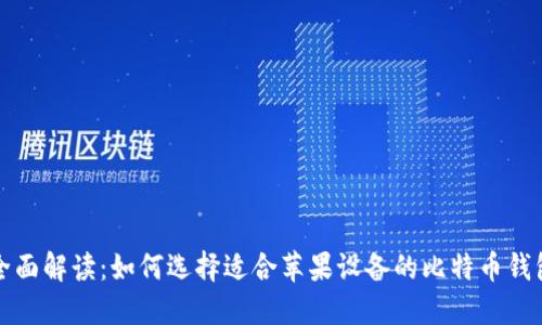 全面解读：如何选择适合苹果设备的比特币钱包