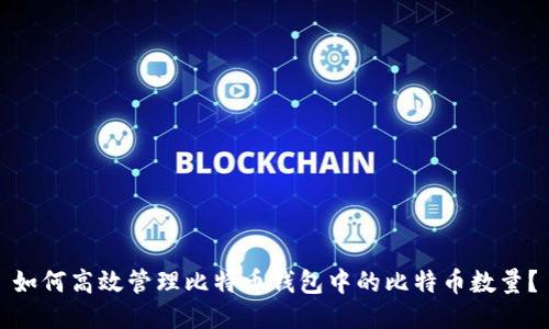 如何高效管理比特币钱包中的比特币数量？