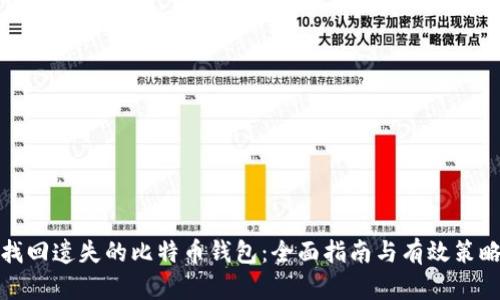 找回遗失的比特币钱包：全面指南与有效策略
