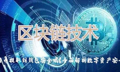 比特币提取到钱包安全吗？全面解析数字资产安全性