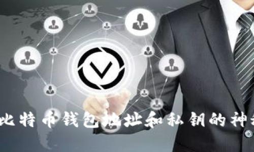  揭开比特币钱包地址和私钥的神秘面纱