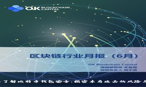  深入了解比特币钱包安全：揭密木马攻击的风险与防范