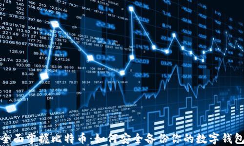 
全面掌握比特币：如何安全备份你的数字钱包