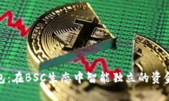探索TP钱包：在BSC生态中智