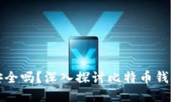 比特币钱包安全吗？深入探讨比特币钱包的信任