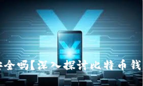 比特币钱包安全吗？深入探讨比特币钱包的信任问题