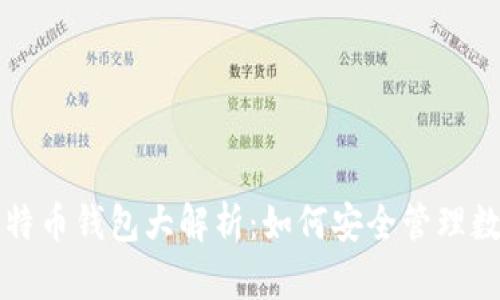 全球比特币钱包大解析：如何安全管理数字资产