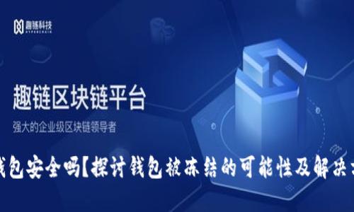 TP钱包安全吗？探讨钱包被冻结的可能性及解决方案