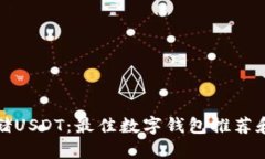 : 安全存储USDT：最佳数字钱包推荐和使用指南