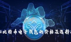 揭秘比特币电子钱包的价格及选择指南