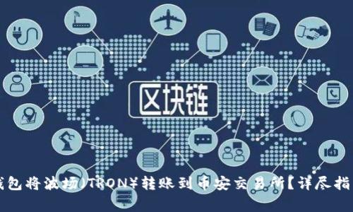 如何通过TP钱包将波场（TRON）转账到币安交易所？详尽指南与注意事项