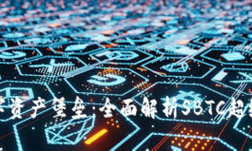 打造你的数字资产堡垒：全面解析SBTC超级比特币钱包